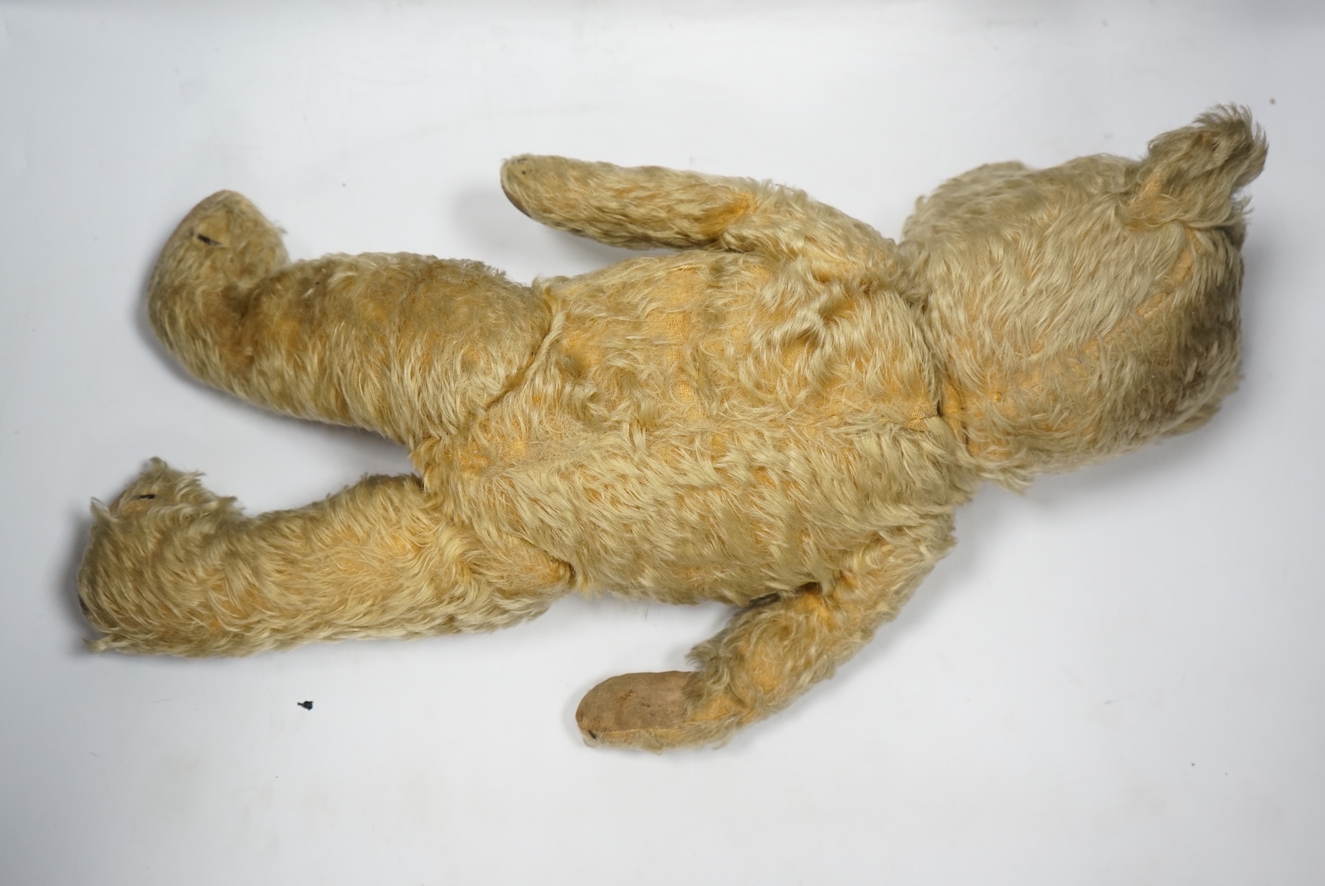 A 1930’s English Teddy bear, gold mohair plush and glass eyes, 49cm. Condition - fair
